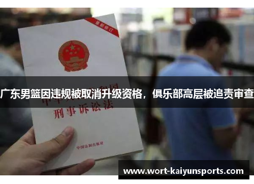 广东男篮因违规被取消升级资格，俱乐部高层被追责审查