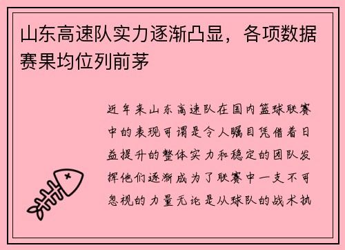 山东高速队实力逐渐凸显，各项数据赛果均位列前茅