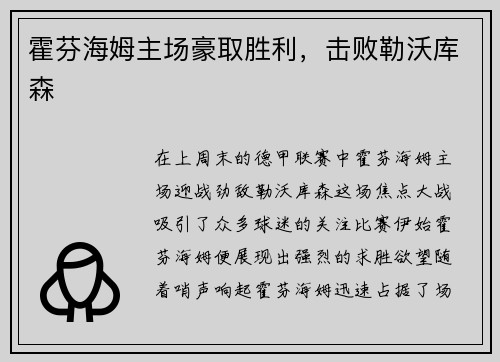 霍芬海姆主场豪取胜利，击败勒沃库森